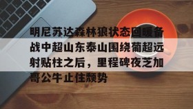 多米全站APP下载- 明尼苏达森林狼状态回暖备战中超山东泰山围绕葡超远射贴柱之后，里程碑夜芝加哥公牛止住颓势