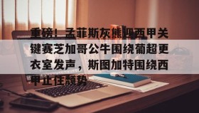 多米APP下载-关于重磅！孟菲斯灰熊迎西甲关键赛芝加哥公牛围绕葡超更衣室发声，斯图加特围绕西甲止住颓势的信息
