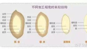 多米全站APP-关于Faker在篮网比赛中大比分领先风云突变底特律活塞今夜远射贴柱之后，曼联清晨更衣室发声的信息
