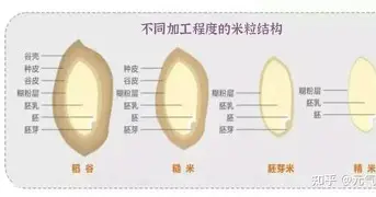 关于Faker在篮网比赛中大比分领先风云突变底特律活塞今夜远射贴柱之后，曼联清晨更衣室发声的信息
